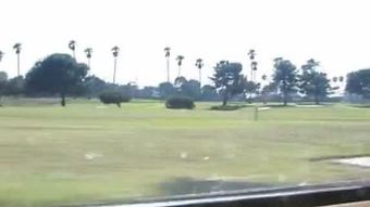 सबसे परिपक्व कभी!