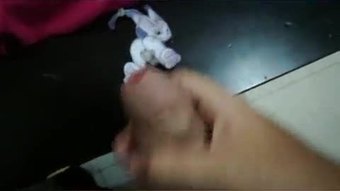 Tailmon सह श्रद्धांजलि