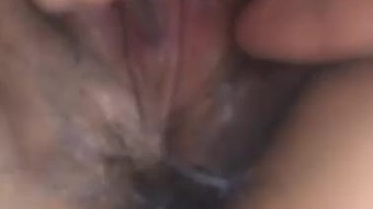Gogo लाइव chá