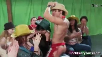 सींग का बना हुआ पैक के druunk cowgirls चूसना