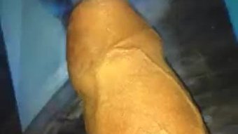 श्रद्धांजलि के लिए मेरे दोस्त रक़ील डेलगाडिलो
