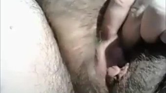 बालों वाली बिल्ली मला जा रहा है ऊपर बंद