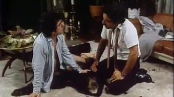 वांडा व्हिप्स वॉल स्ट्रीट (1981)