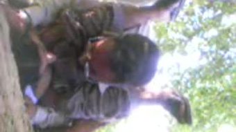 Jangal मुख्य मंगल